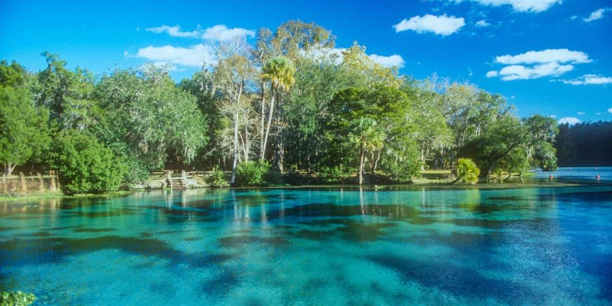 12 Natural Springs in Florida where you can Swim + Go Tubing